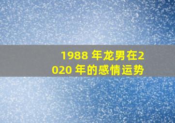 1988 年龙男在2020 年的感情运势